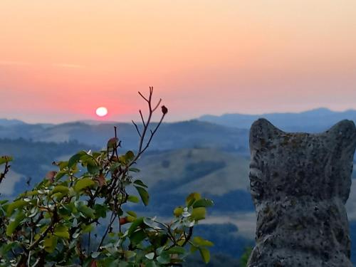 a statue of a cat with the sunset in the background at B&B Poggio di Vento sulla via degli Dei in Monzuno