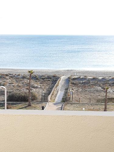 une plage de sable avec des palmiers et l'océan dans l'établissement Paradis bleu vue mer, direct plage, au Barcarès