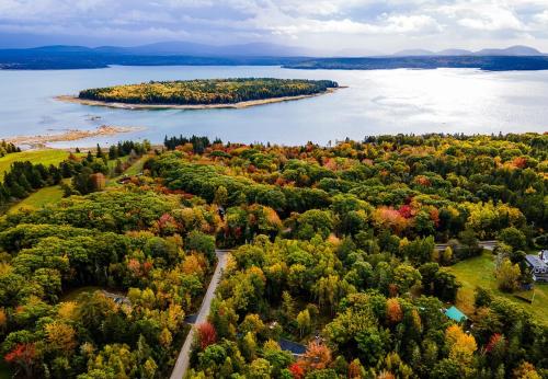 an island in the middle of a lake with trees at Newly Built Retreat in the Woods Near Acadia in Trenton