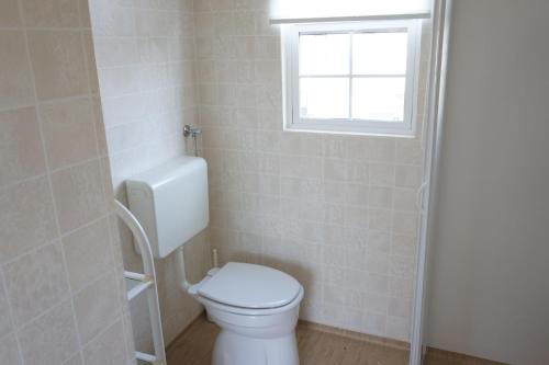 a bathroom with a toilet and a window at Kustverhuur, Groede Paarlhof 45 in Groede