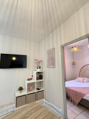 une chambre avec un lit et une télévision sur un mur dans l'établissement Rose Arlésien, à Arles