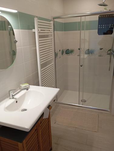 une salle de bain avec un lavabo et une douche dans l'établissement Sarl Château Arago, à Fauguerolles