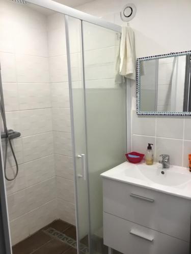 a bathroom with a shower and a sink and a mirror at Maisonette bedogao in Valence