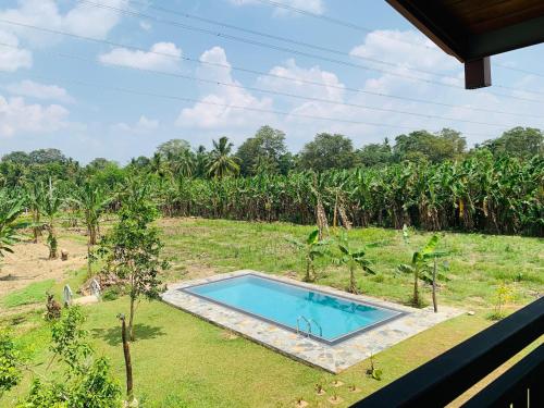 Bazén v ubytování Kadalla Holiday Resort nebo v jeho okolí