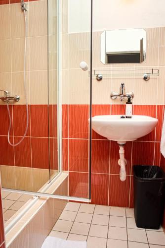 a bathroom with a sink and a shower at Hotel Zimní stadion Náchod in Náchod
