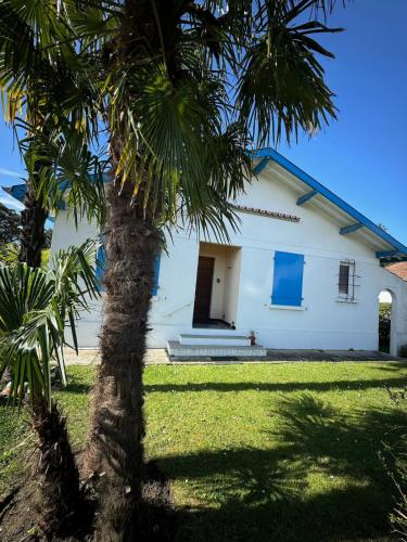 un bâtiment blanc avec un palmier devant dans l'établissement Villa Dziunia Townhouse with garden, à Tarnos