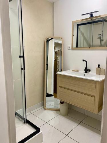une salle de bain avec un lavabo et un miroir dans l'établissement Appartement cosy en centre-ville, à Calais