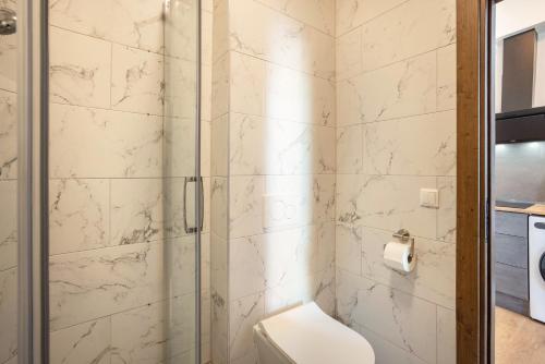 a bathroom with a shower with a toilet at Altstadt Residenz in Lübeck