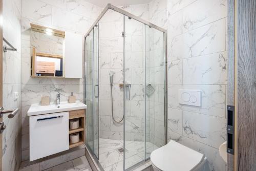 a bathroom with a shower with a toilet and a sink at Altstadt Residenz in Lübeck