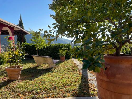 a row of potted plants and a bench in a garden at casa cappellino in Vicovaro