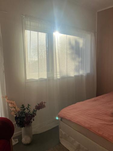a bedroom with a bed and a window with a plant at Kvernhusheia Gjestegård in Rødland