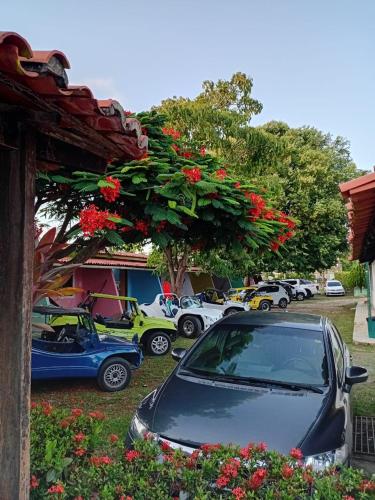 a group of cars parked in a parking lot with flowers at Pousada subauma in Subaúma