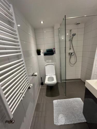 a bathroom with a toilet and a glass shower at Appartementen Purmerend A in Purmerend