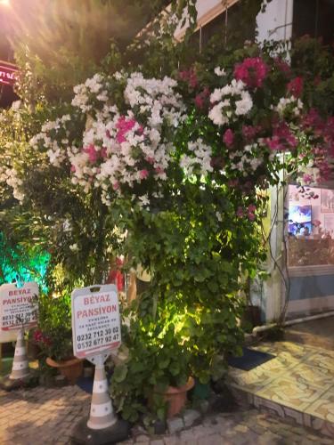 a large bush of flowers in front of a store at Beyaz Apart Pansiyon in Cesme