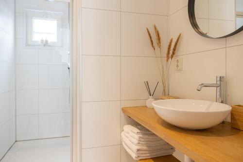a bathroom with a sink and a shower at Buitenlede 7 - Suite M in Dwingeloo