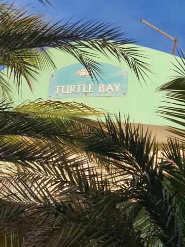 a sign that reads turtle bay behind a palm tree at Capo Verde Club - Ca Francesca in Santa Maria