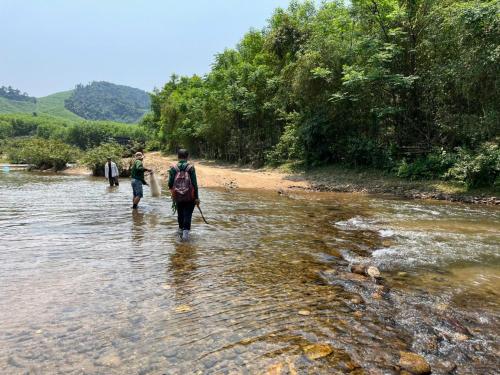 a group of people walking across a river at Daily Free Trekking Tour - Nguyen Shack in Phong Nha