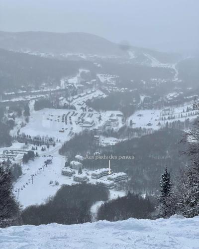 a view of a ski resort in the snow at BÕSKI - Refuge de luxe in Stoneham