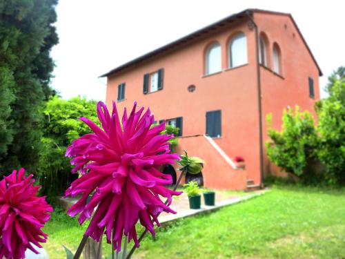 Taman di luar Agriturismo Poggio la Fioraia