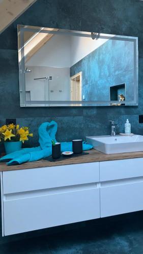 a bathroom with a sink and a mirror at Der Welfenshof in Malschwitz