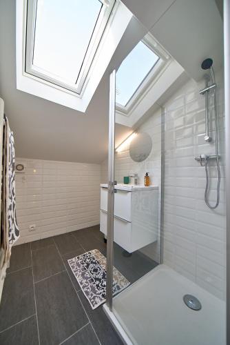 La salle de bains est pourvue d'une douche, d'un lavabo et d'une lucarne. dans l'établissement Salengro, Cosy Studio - Gauche, à Villeurbanne