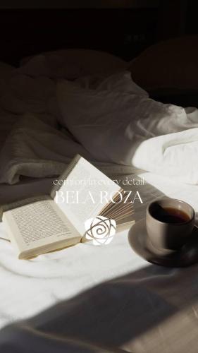 Katil atau katil-katil dalam bilik di Hotel Bela Roza