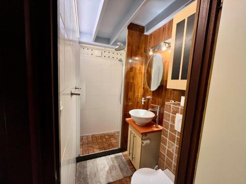 a bathroom with a toilet and a sink at Lanaken Luxe Garden Retreat in Lanaken