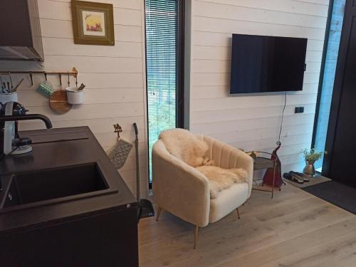 a living room with a chair and a television at Beach house in Lohusalu - for extra cost sauna and barrel bath in Laulasmaa