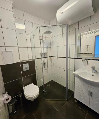 a bathroom with a shower and a toilet and a sink at Rose Garden Deluxe in Chernomorets