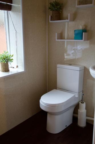 a bathroom with a white toilet and a window at The Kings Arms in Stafford