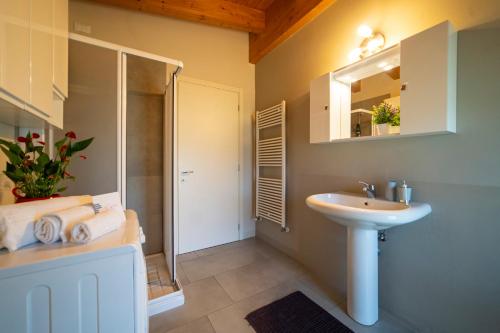 un baño con lavabo y ducha en Tesoro Nascosto-Franciacorta UP, en Adro