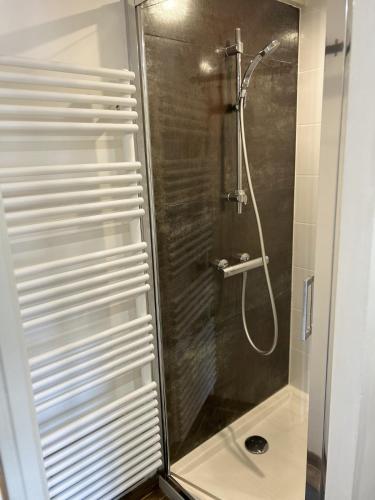 une douche avec une porte vitrée dans une salle de bain dans l'établissement Bel Appt Centre, Marais, rando, à Niort