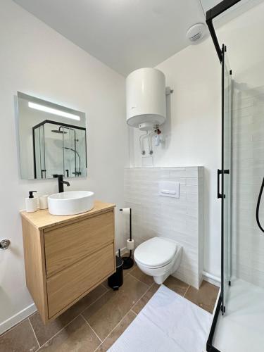 une salle de bain avec toilettes, lavabo et miroir dans l'établissement Calvi - Paisible et chaleureux, à Reims