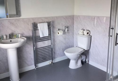 a bathroom with a toilet and a sink at Ensuite Double Room with Countryside Views in Cranleigh