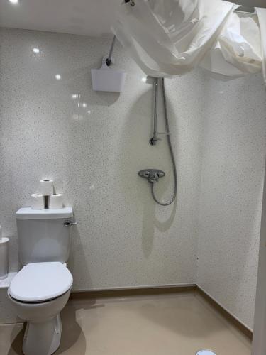a bathroom with a toilet and a shower at Carnock in Tenby