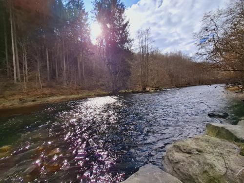 a river with the sun reflecting on the water at Le vieux pont - Maison de vacances au bord de l'eau in Ortho