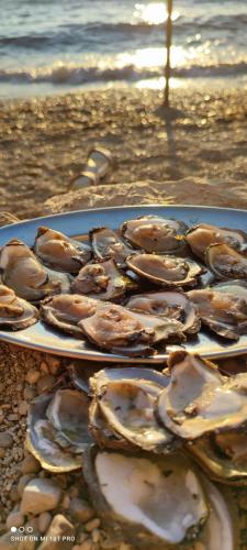 a plate of oysters sitting on the beach at Apartments Luna in Žuljana