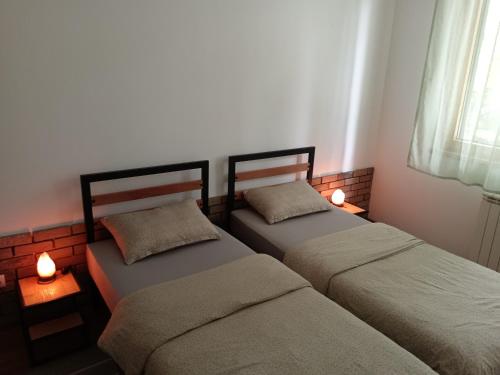 two twin beds in a room with two lamps at Sava apartment in Novi Sad