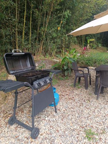 a bbq grill in a yard with a table and chairs at Cabaña Momotus II in Concepción