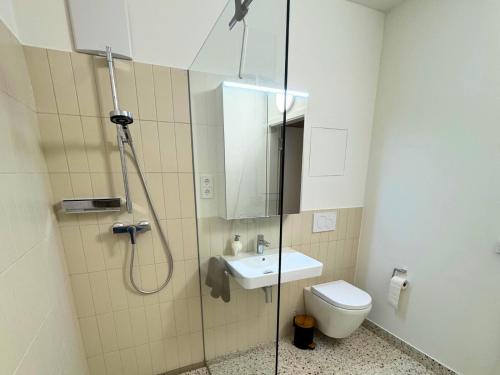 a bathroom with a shower and a toilet and a sink at Isaak Apartment Löwenbau E1-W06 in Waldshut-Tiengen