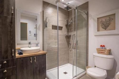 a bathroom with a shower and a toilet and a sink at Carriole - Private Hot Tub - Hiking and Skiing in Val-des-Lacs