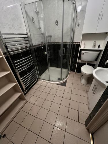 a bathroom with a shower and a toilet at Cosy 3 bed bungalow in Dublin in Lucan