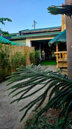 a palm tree in front of a house at Natural Haven with Netflix Kubo Videoke & Alfresco Dining in Dasmariñas
