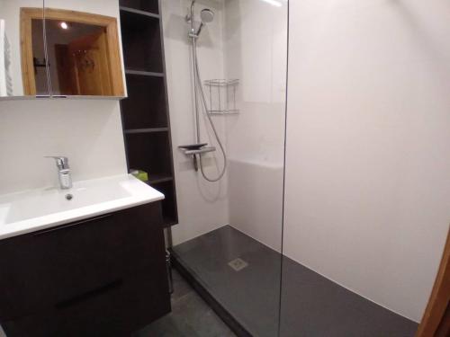 une salle de bain avec douche et lavabo dans l'établissement Charmant appartement 3 pièces à Méribel, proche pistes et commerces - FR-1-355-84, à Méribel