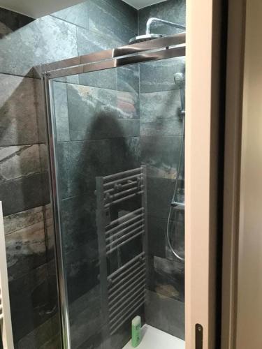une douche avec une porte vitrée dans une salle de bain dans l'établissement Beautiful ground floor opening onto private pool, à Lancieux