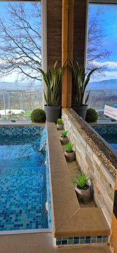 a swimming pool in a house with plants at Villa Melani **** in Oriovac