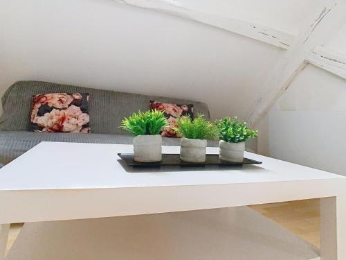 a white table with three potted plants on it at Le Perchoir in Melun