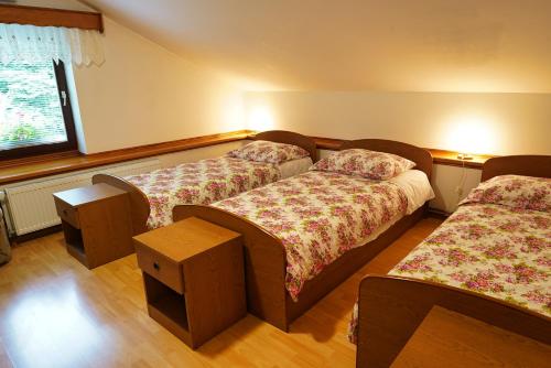 a bedroom with two beds and a window at Domačija Bubec in Ilirska Bistrica