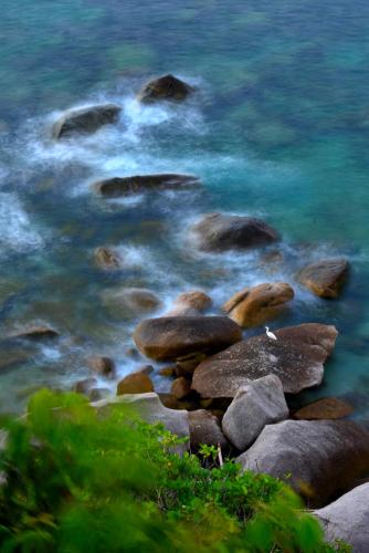 a group of rocks on the shore of a body of water at Sai Daeng Resort in Koh Tao
