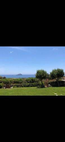 a view of a field with trees and a blue sky at La casa di Sara in Capo Sperone